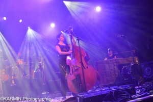 Les Ogres de Barback contrebasse