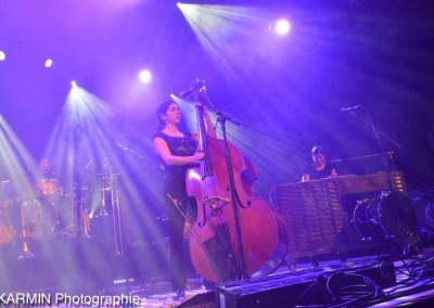 Les Ogres de Barback contrebasse